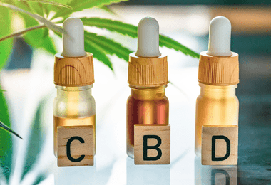 What Is CBD? A Beginner’s Guide to Cannabidiol