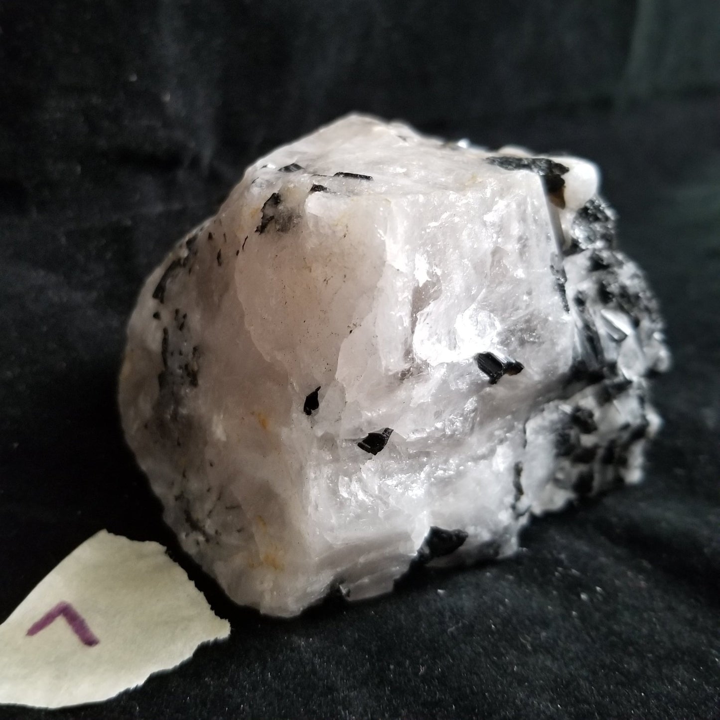 Black Tourmaline Tourmalinated Quartz Raw Healing Crystal Stone Enlightenment 454g (BTQ7) Simply CBD LLC