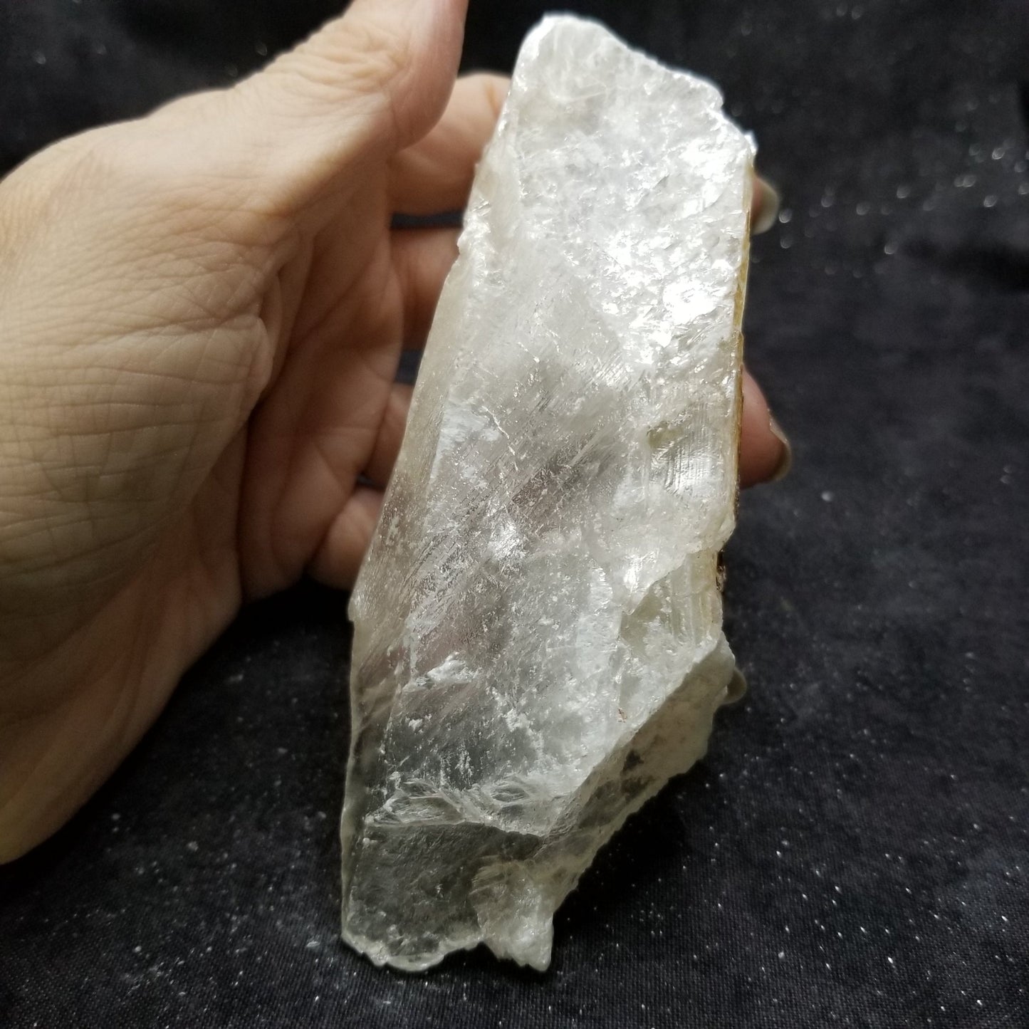 Golden Phantom Selenite Quartz Rare Raw Natural Crystal Stone Empowerment 215g (GPS7) Simply CBD LLC