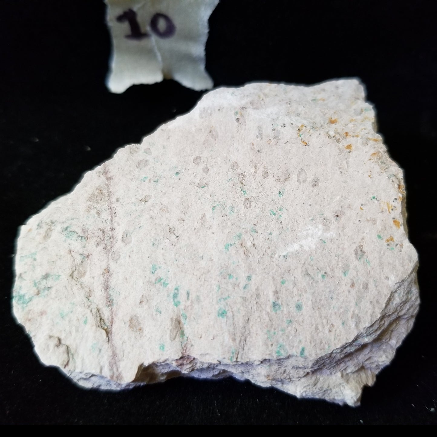 Malachite Azurite Chrysocolla Isolated Host Raw Natural Healing Crystals and Stones (MAC10) Simply CBD LLC