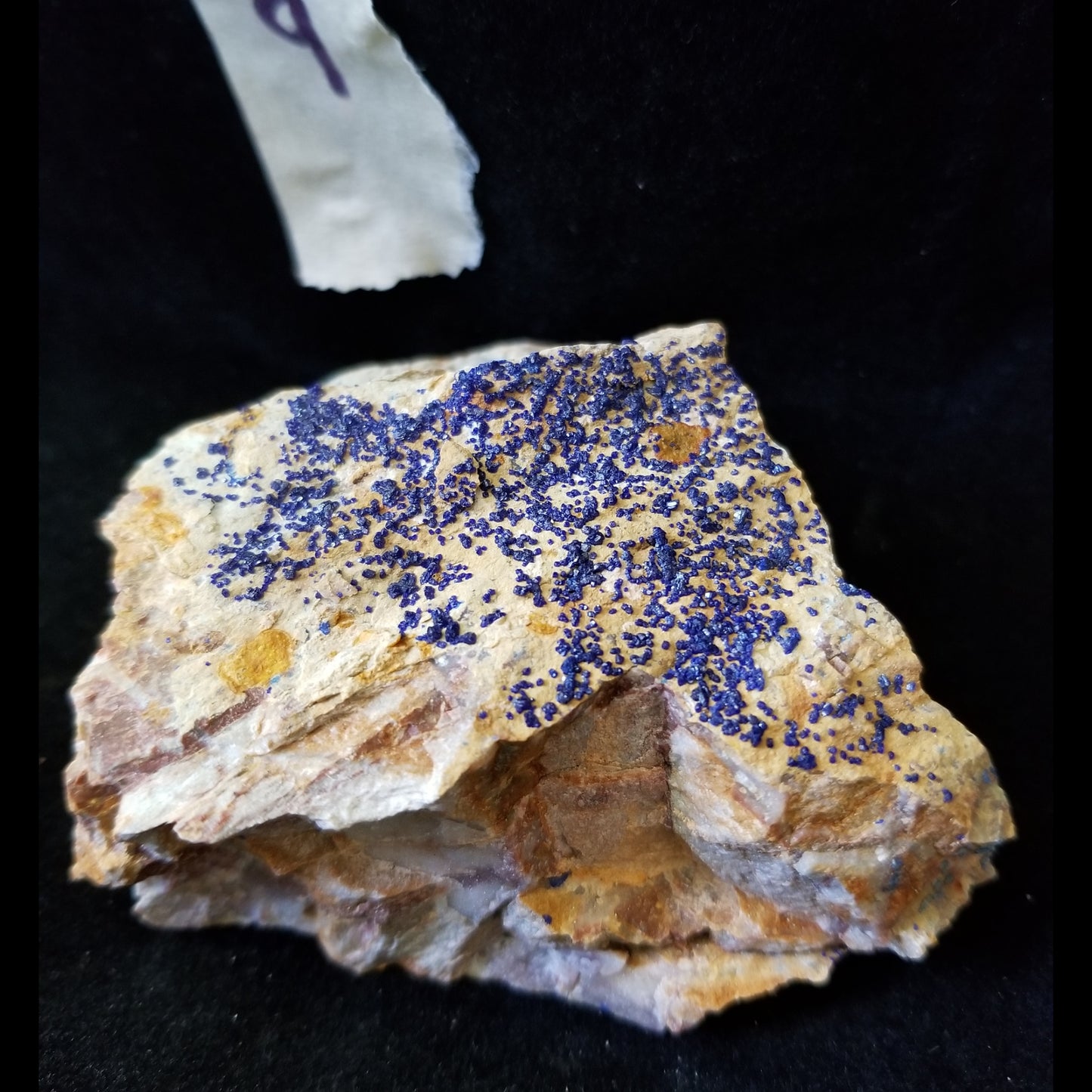 Malachite Azurite Chrysocolla Isolated Host Raw Natural Healing Crystals and Stones (MAC9) Simply CBD LLC