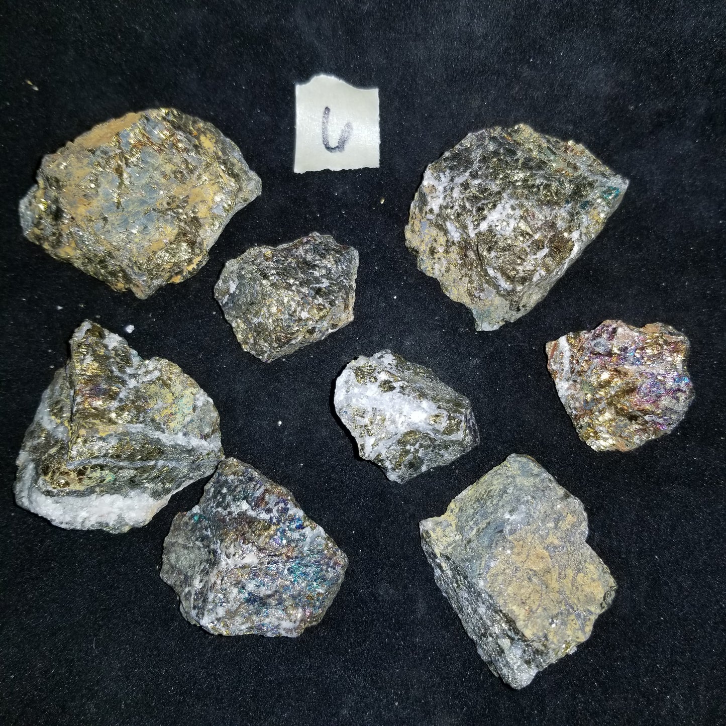 Rainbow Peacock Ore Pyrite raw healing gold shimmer crystal stones 1LB (LOT6) Simply CBD LLC
