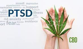 How Does CBD Help PTSD?