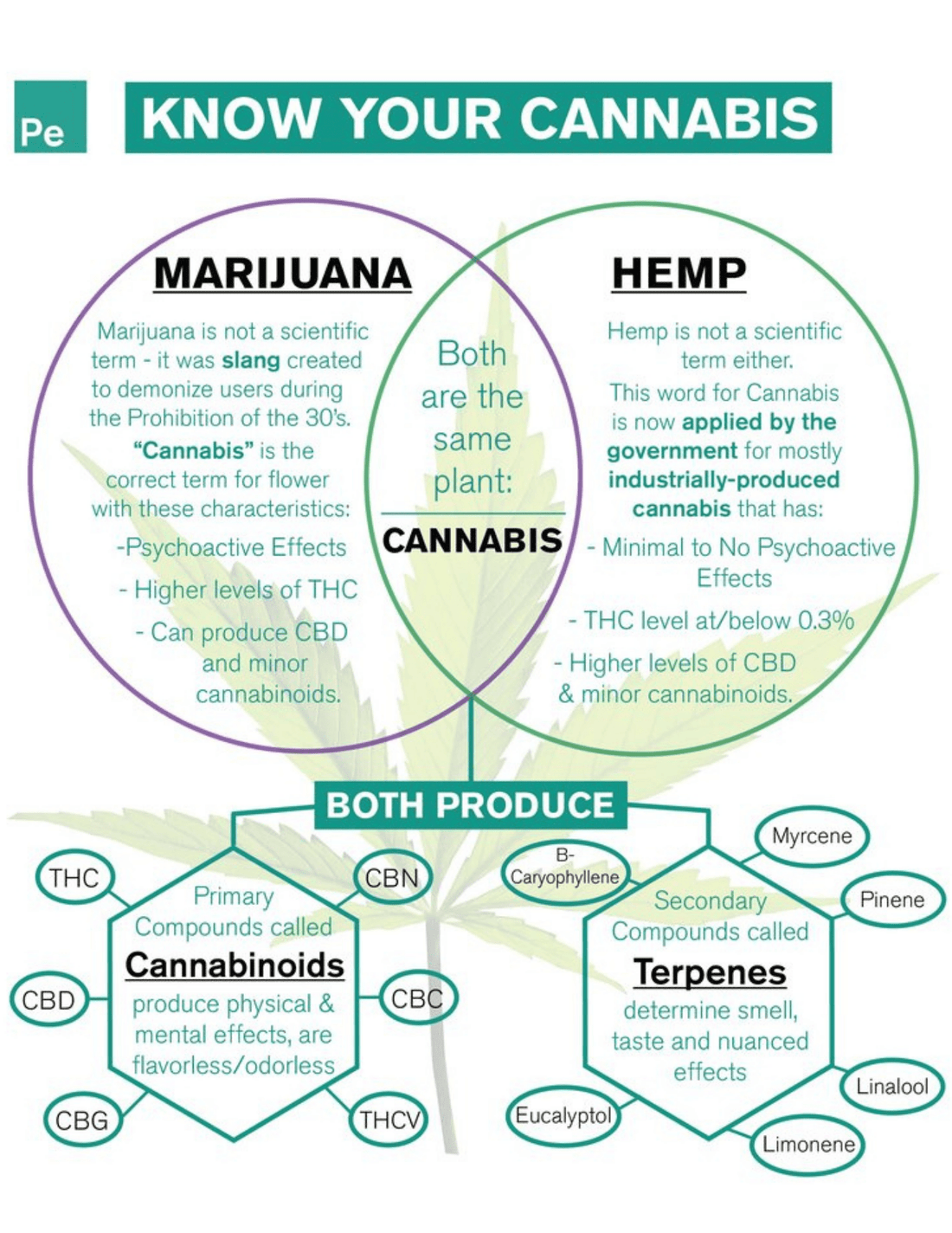 Know your cannabis