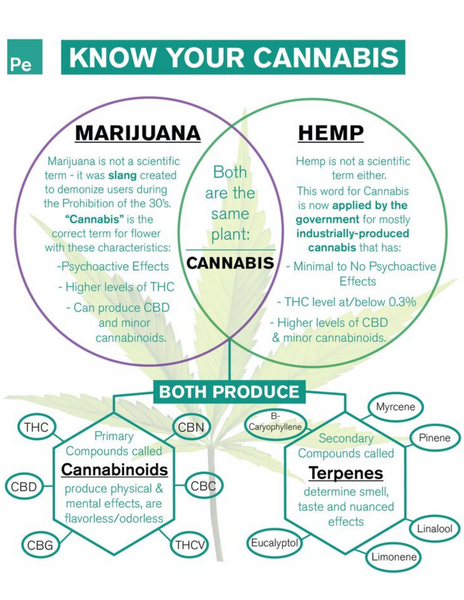 Know Your Cannabis