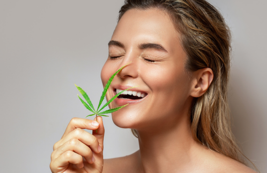 The Rise of Personalized CBD Wellness in 2026