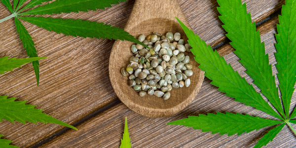 CBD Without THC: What You Need to Know Before You Buy