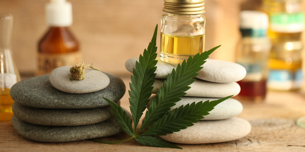 What to Look for in Lab-Tested THC-Free CBD Products