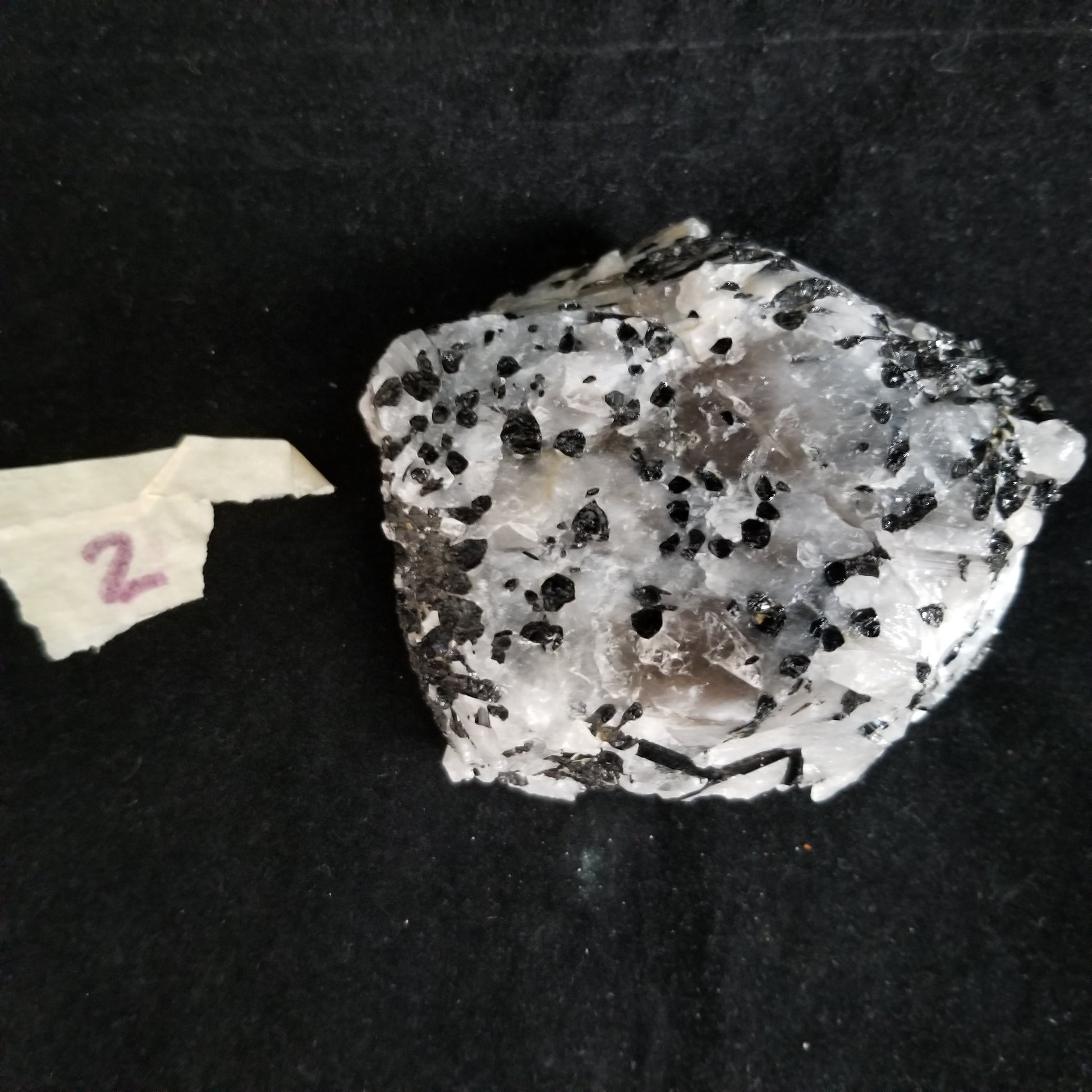 Black Tourmaline Tourmalinated Quartz Raw Healing Crystal Stone Enlightenment 530g (BTQ2) Simply CBD LLC