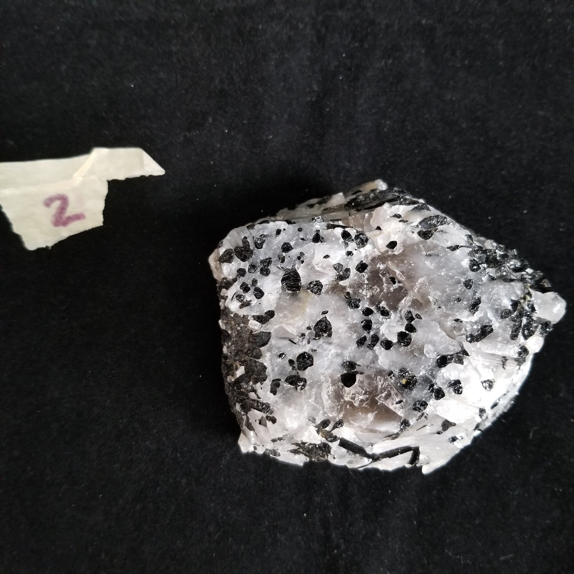 Black Tourmaline Tourmalinated Quartz Raw Healing Crystal Stone Enlightenment 530g (BTQ2) Simply CBD LLC