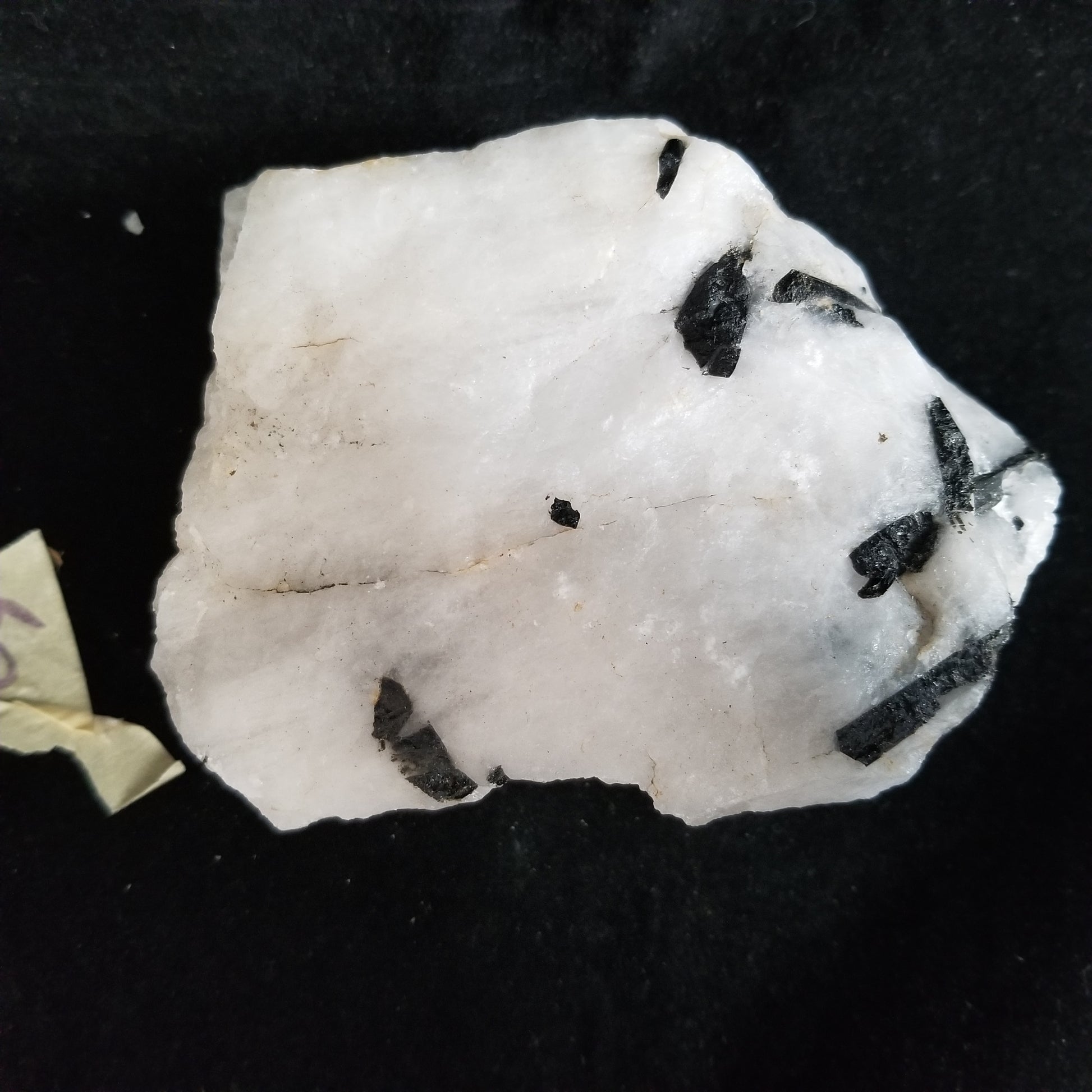 Black Tourmaline Tourmalinated Quartz Raw Healing Crystal Stone Enlightenment 745g (BTQ5) Simply CBD LLC