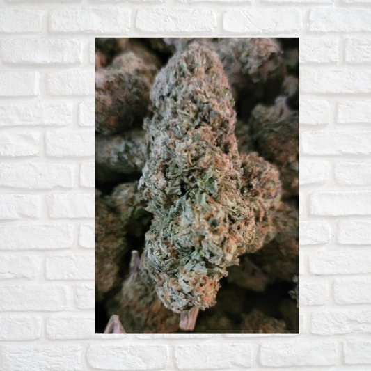 G41 Flower Simply CBD LLC