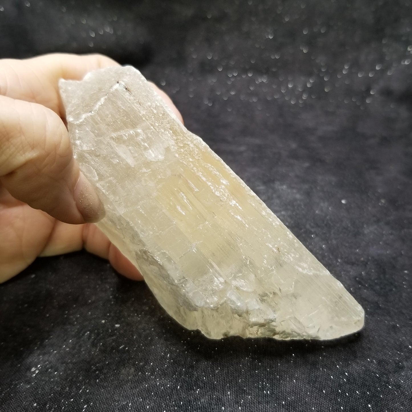Golden Phantom Selenite Quartz Rare Raw Natural Crystal Stone Empowerment 220g (GPS3) Simply CBD LLC