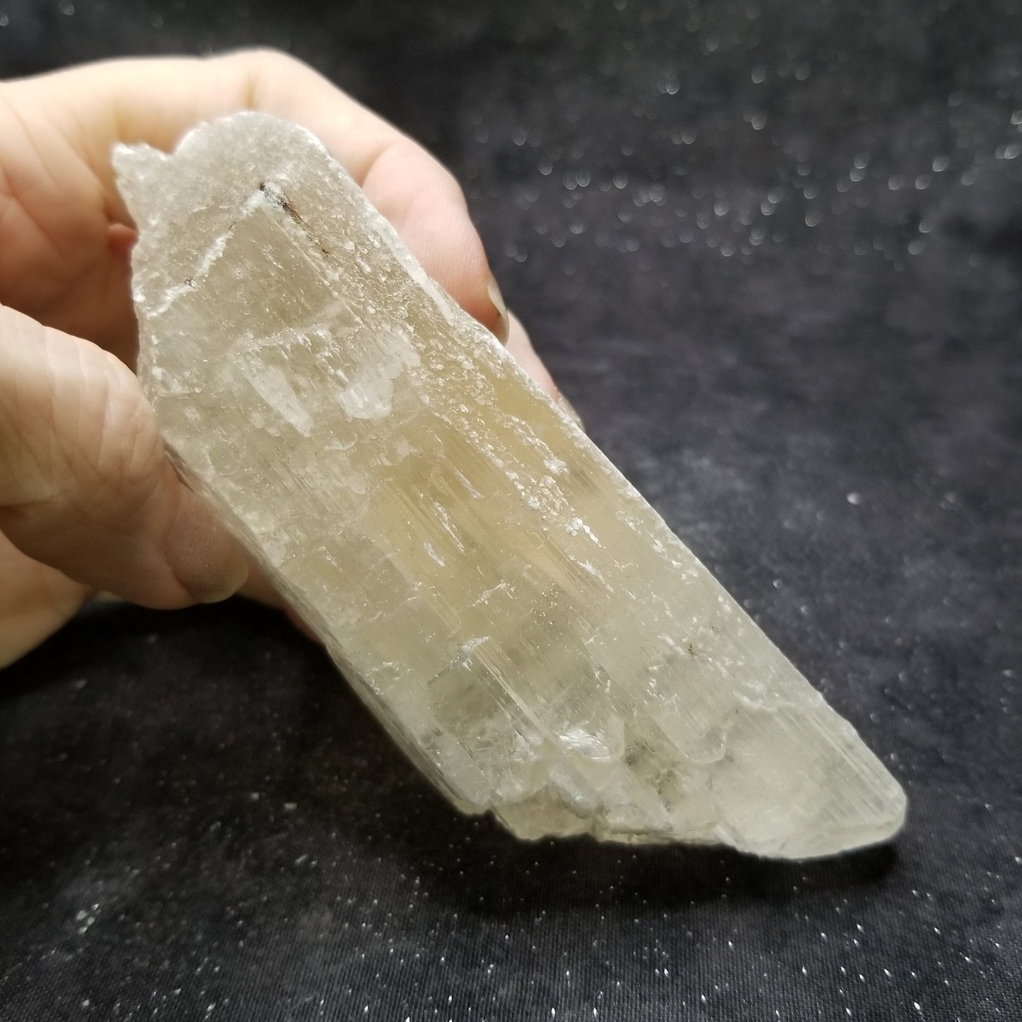 Golden Phantom Selenite Quartz Rare Raw Natural Crystal Stone Empowerment 220g (GPS3) Simply CBD LLC