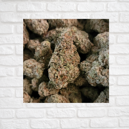 Gorilla Glue Simply CBD LLC