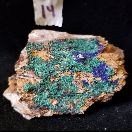 Malachite Azurite Chrysocolla Isolated Host Raw Natural Healing Crystals and Stones (MAC14) Simply CBD LLC