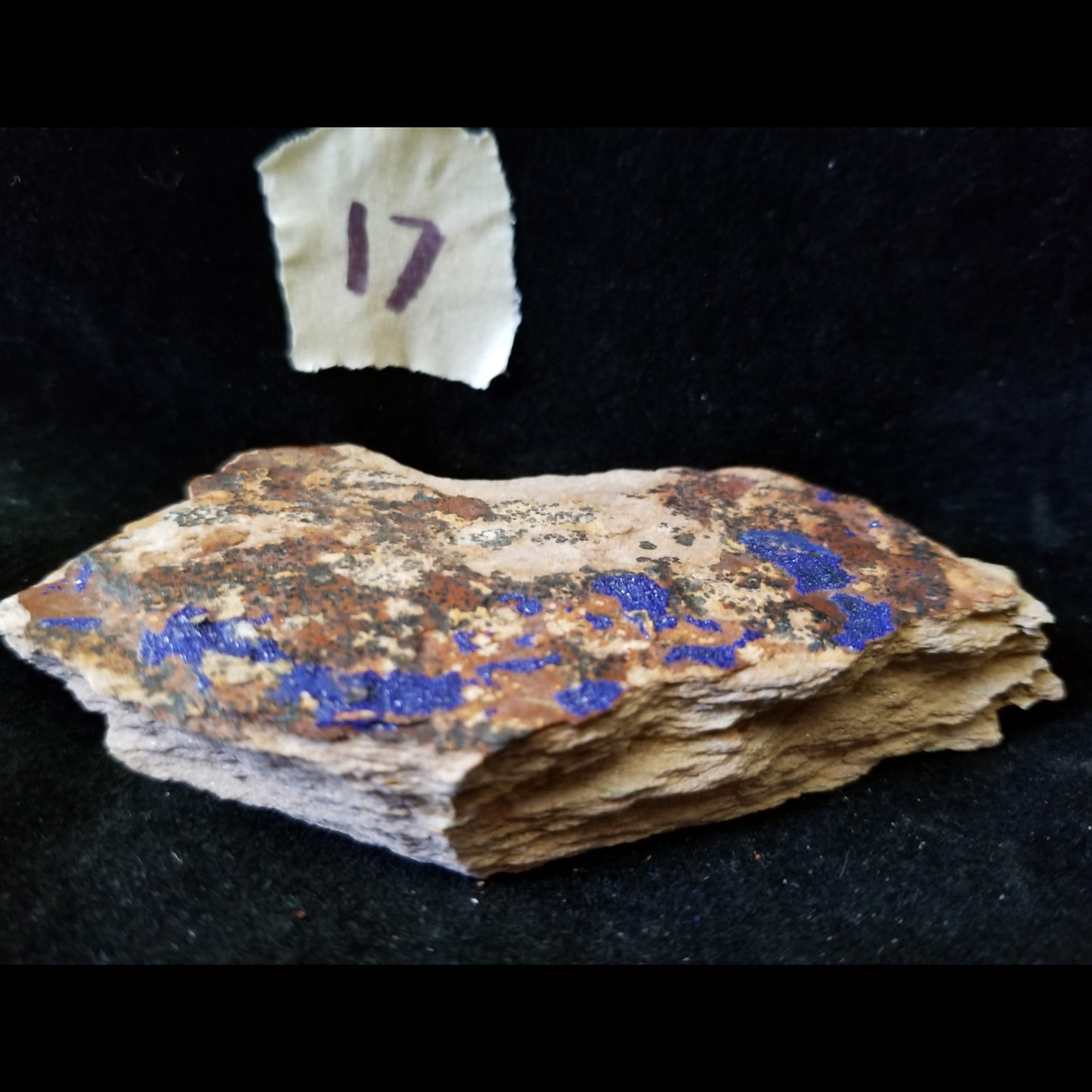 Malachite Azurite Chrysocolla Isolated Host Raw Natural Healing Crystals and Stones (MAC17) Simply CBD LLC