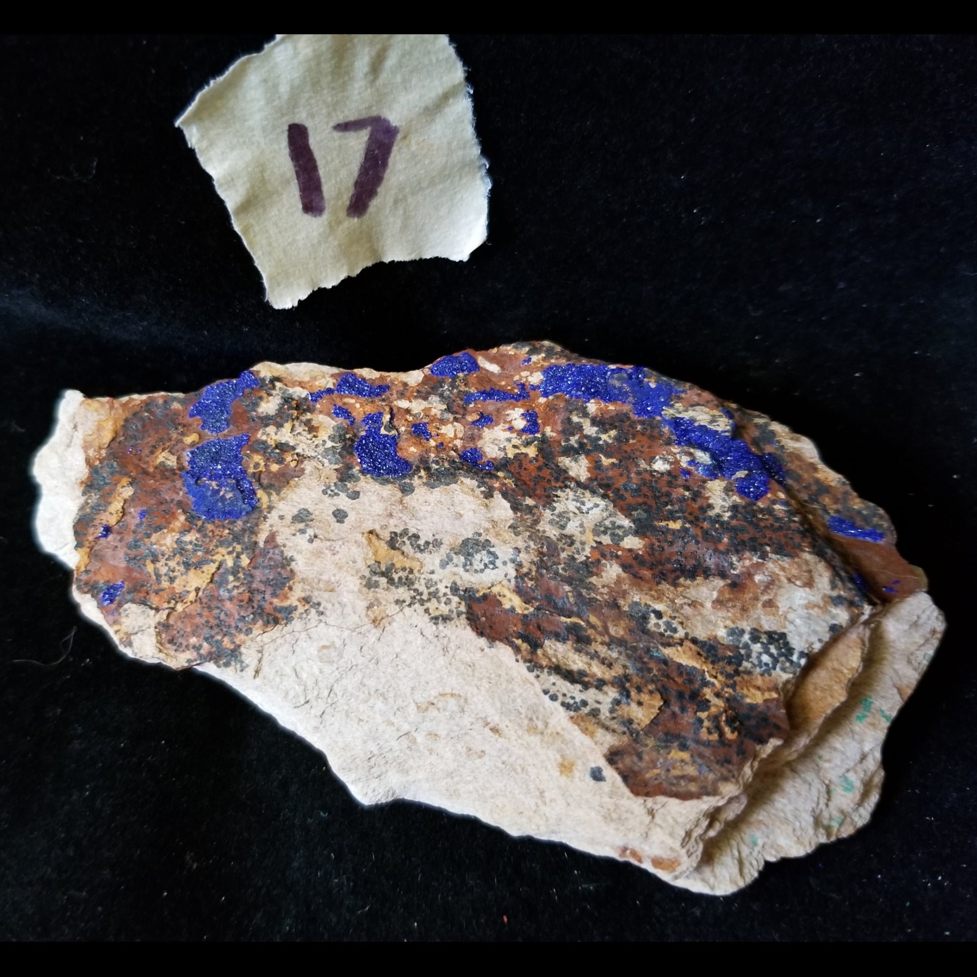 Malachite Azurite Chrysocolla Isolated Host Raw Natural Healing Crystals and Stones (MAC17) Simply CBD LLC