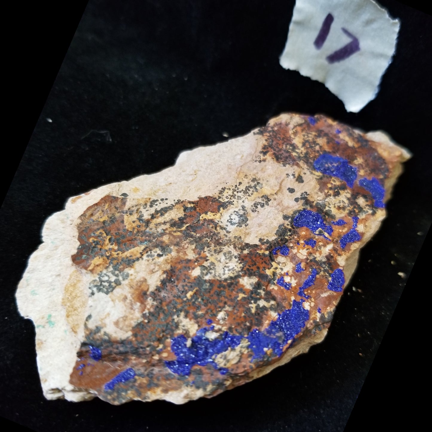 Malachite Azurite Chrysocolla Isolated Host Raw Natural Healing Crystals and Stones (MAC17) Simply CBD LLC