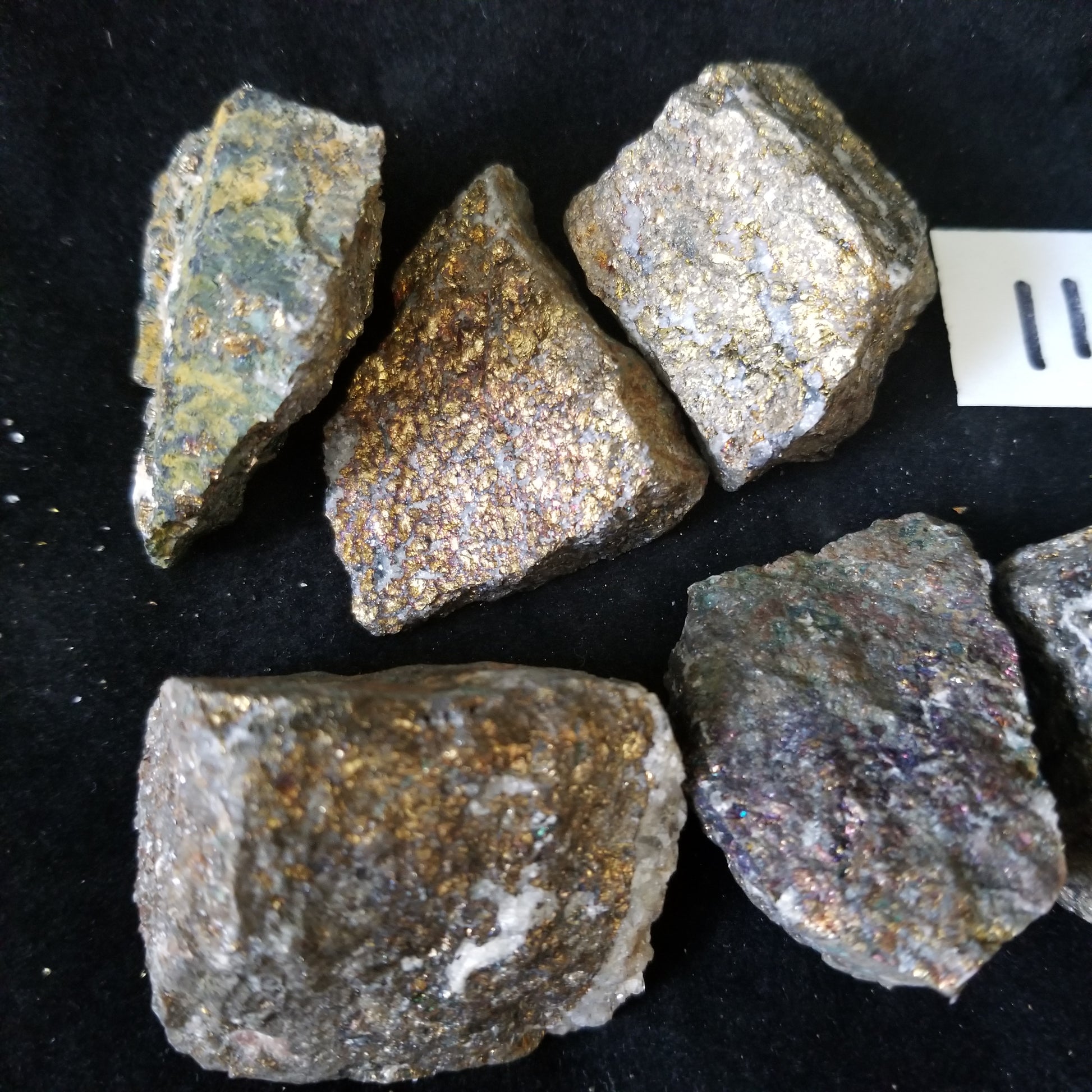 Rainbow Peacock Ore Pyrite raw healing gold shimmer crystal stones 1LB (LOT11) Simply CBD LLC