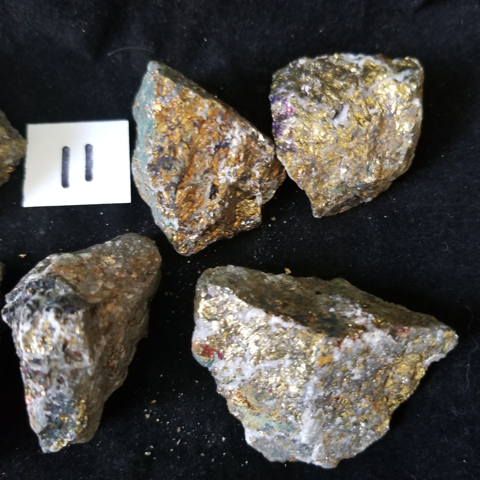 Rainbow Peacock Ore Pyrite raw healing gold shimmer crystal stones 1LB (LOT11) Simply CBD LLC
