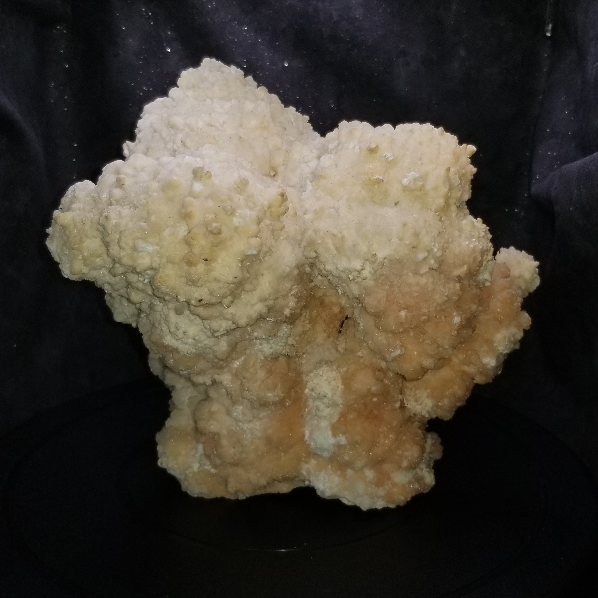 Botryoidal Aragonite Cave Calcite Raw Specimen Stunning 8lb 9oz Simply CBD LLC
