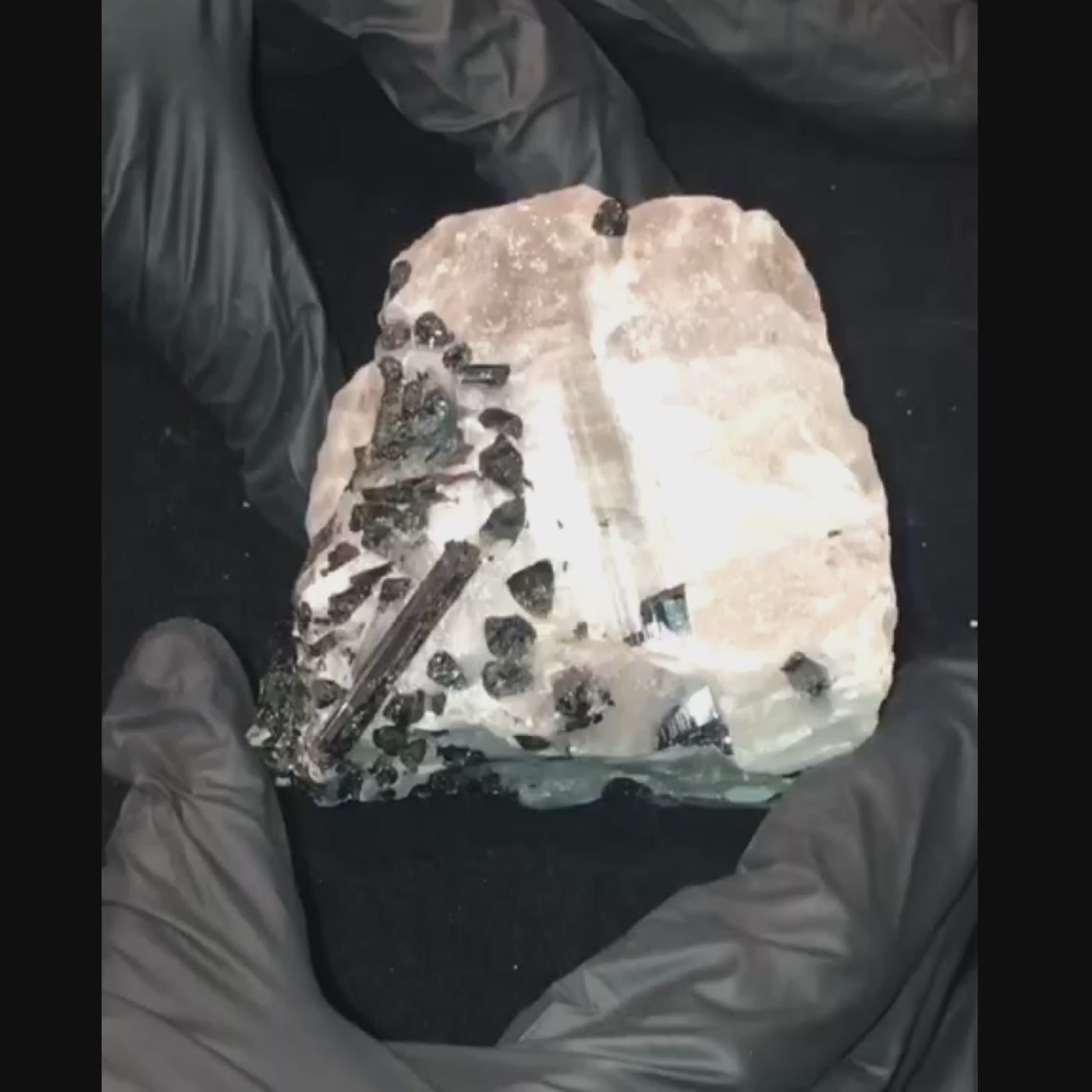 Black Tourmaline Tourmalinated Quartz Crystal Raw Natural vid1