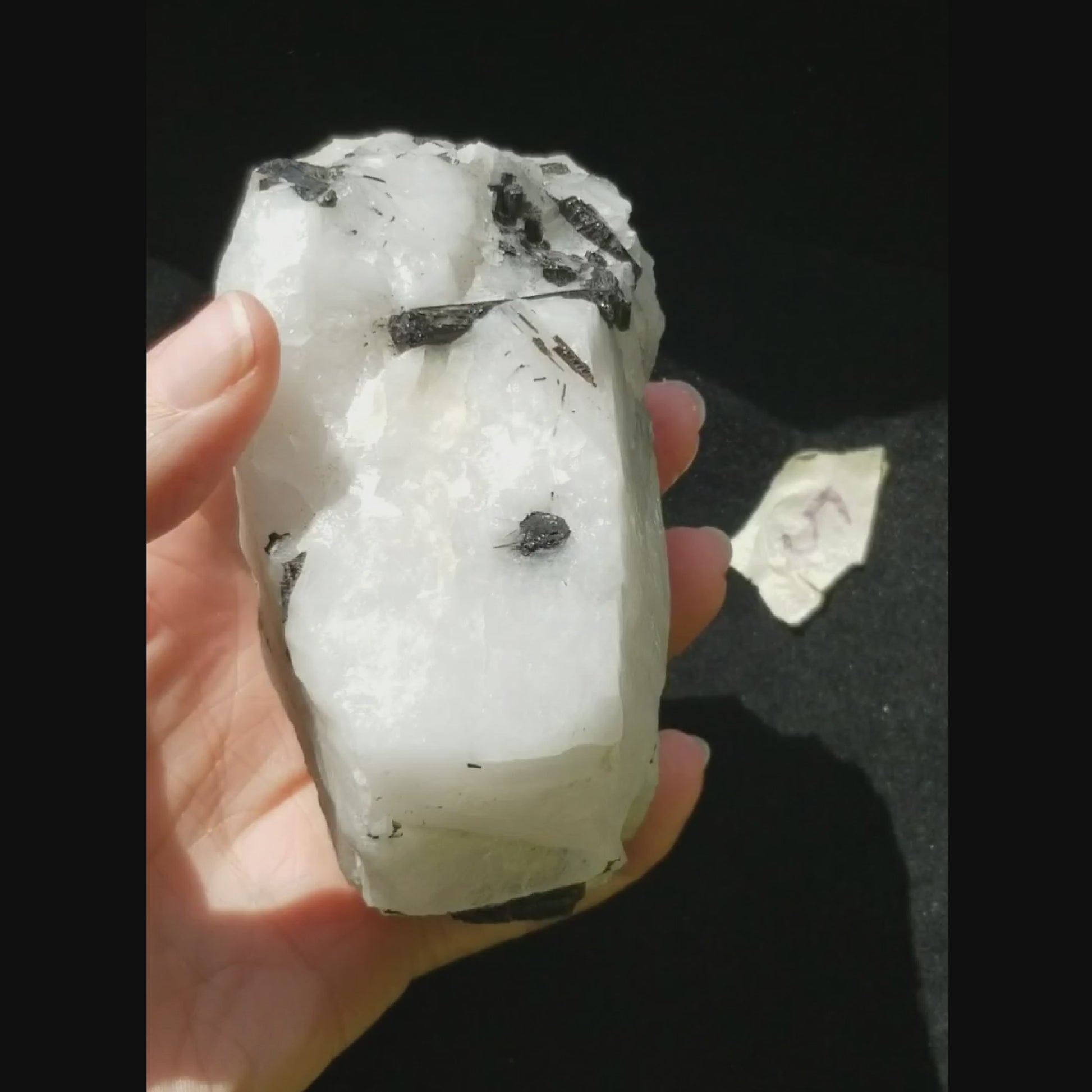 Black Tourmaline Tourmalinated Quartz Raw Natural Crystal vid1