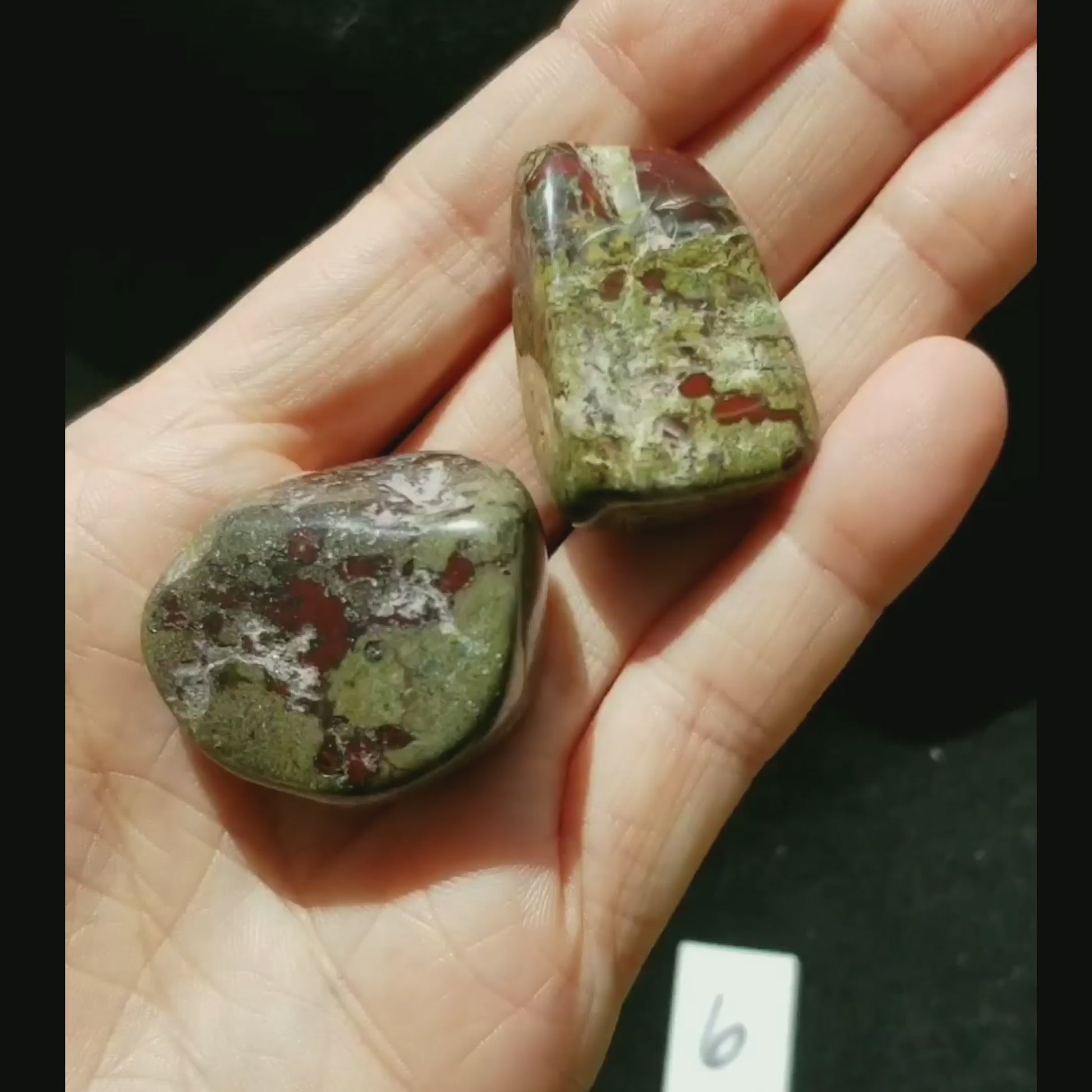 Dragon Bloodstone Polished Tumbled Stone PAIR vid