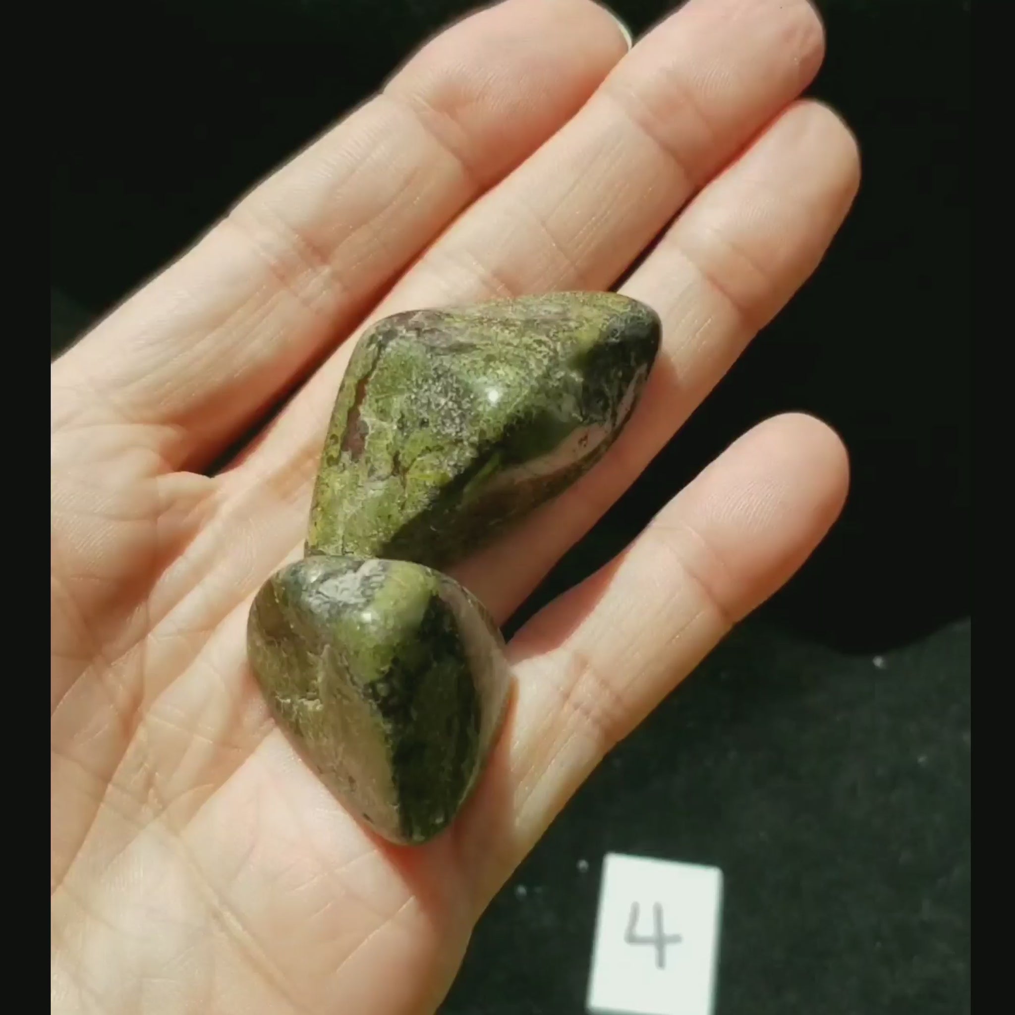 Dragon Bloodstone Jasper Polished Tumbled Stone PAIR vid