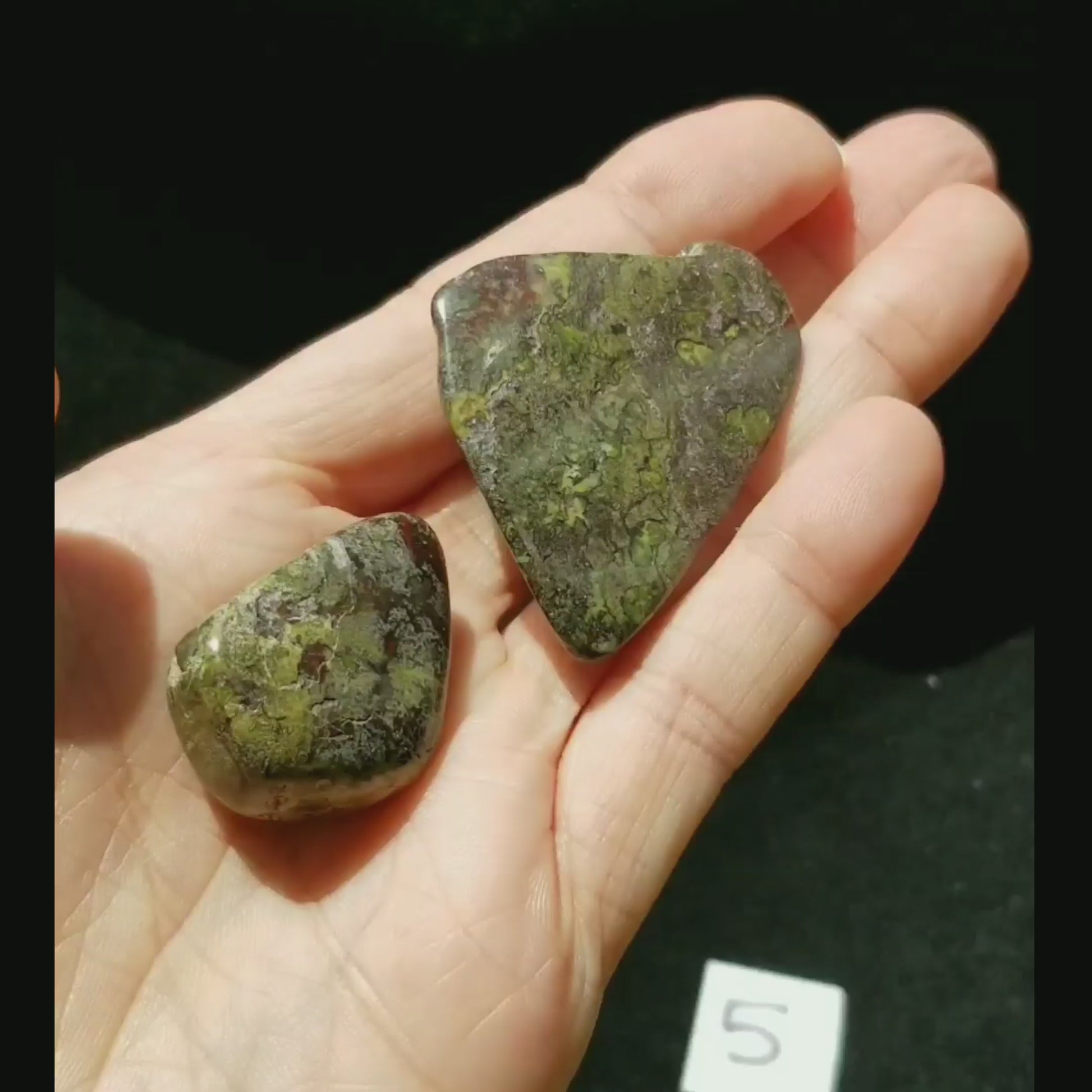 Dragon Bloodstone Jasper Polished Tumbled Stone PAIR vid