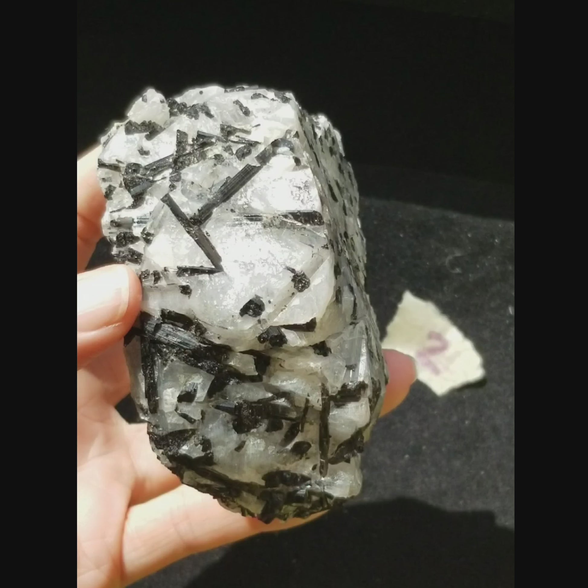 Black Tourmaline Tourmalinated Quartz Raw Natural Crystal vid1