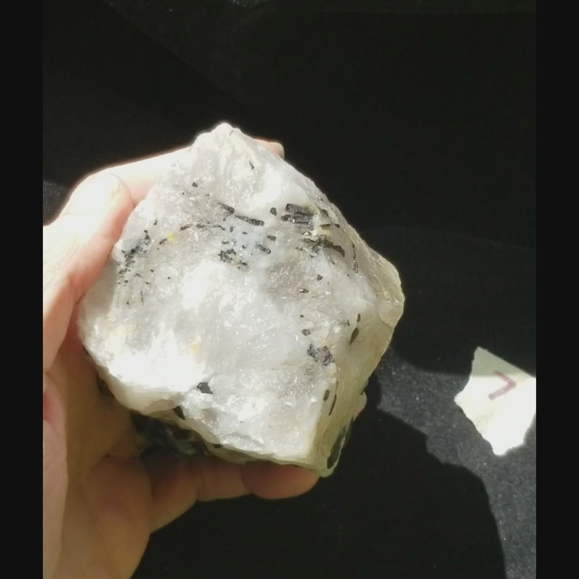 Black Tourmaline Tourmalinated Quartz Crystal Raw Natural vid2