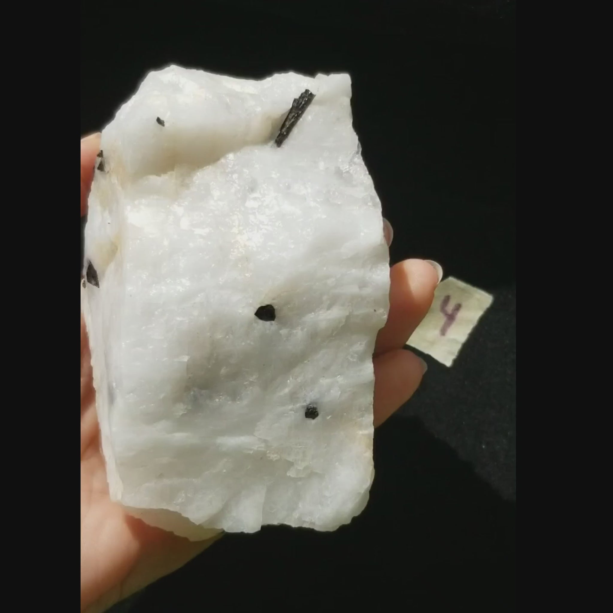 Black Tourmaline Tourmalinated Quartz Raw Natural Crystal vid1
