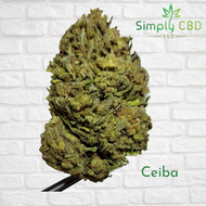 Organic CBD Flower Ceiba — Hybrid (I/D) Simply CBD LLC