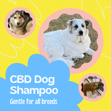 Load image into Gallery viewer, Simply Suds Dog Shampoo Simply CBD LLC
